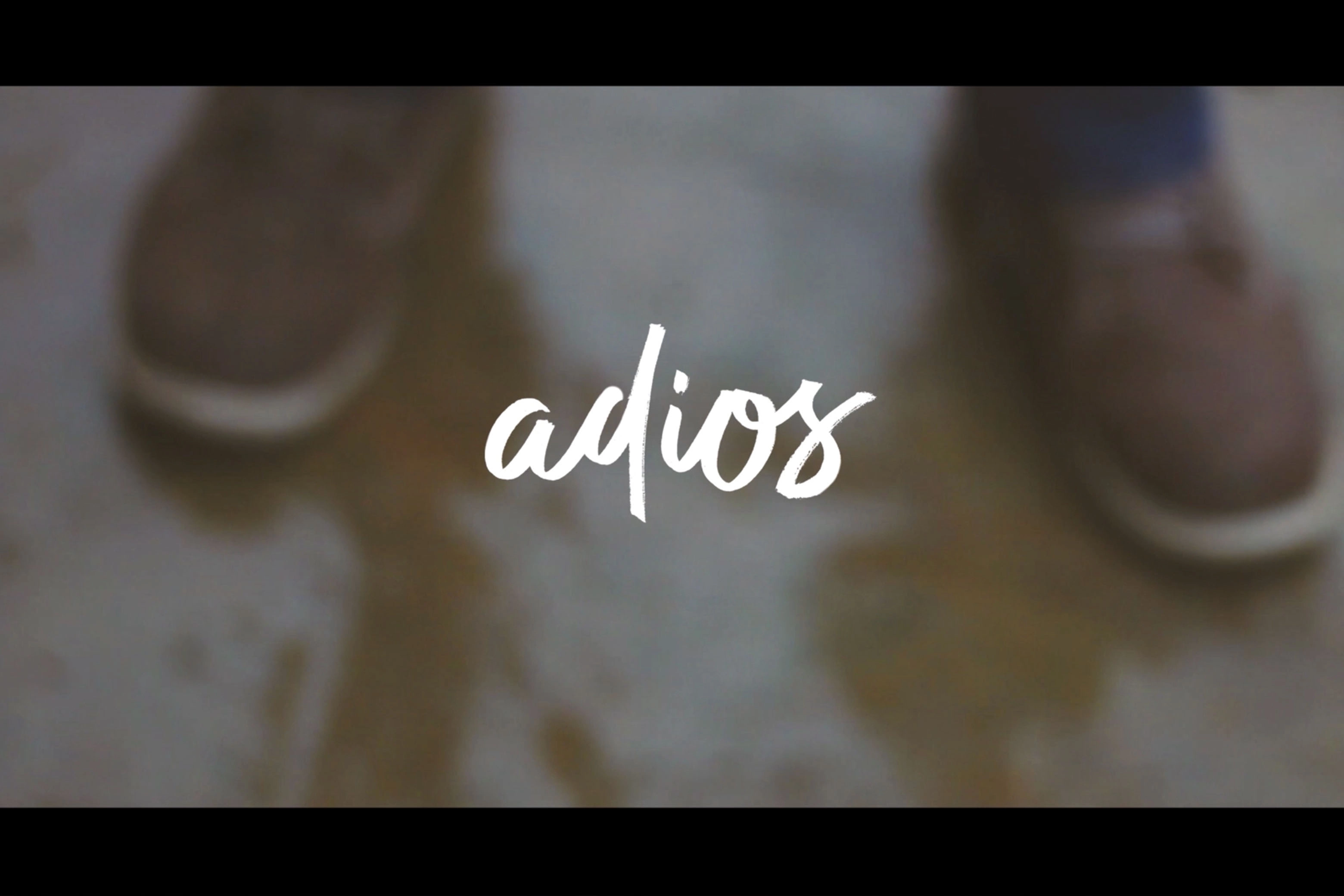 ADIOS - La Aldea